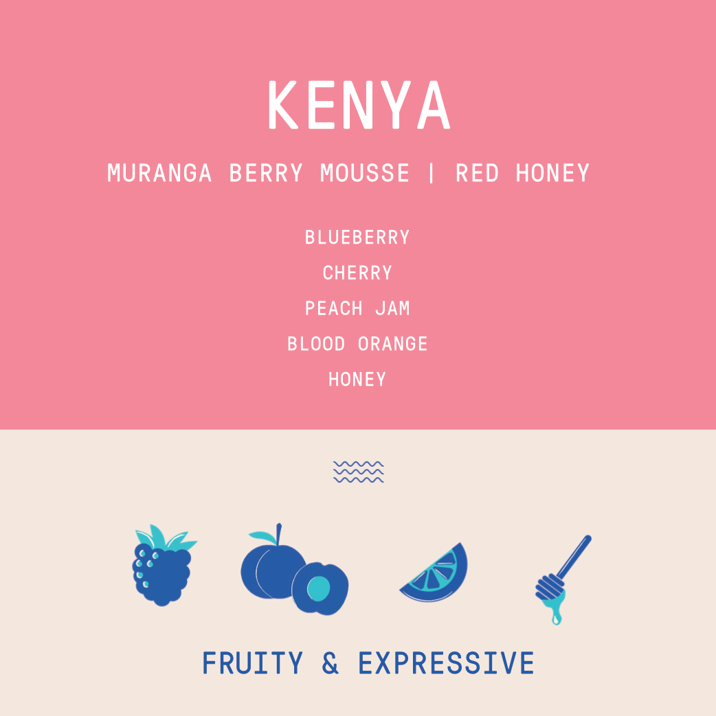 Kenya - Muranga Kanguya Factory Berry Mousse | Red Honey