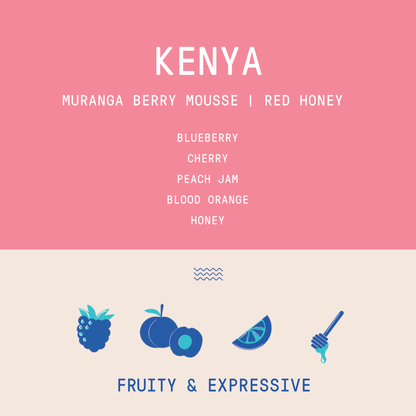 Kenya - Muranga Kanguya Factory Berry Mousse | Red Honey