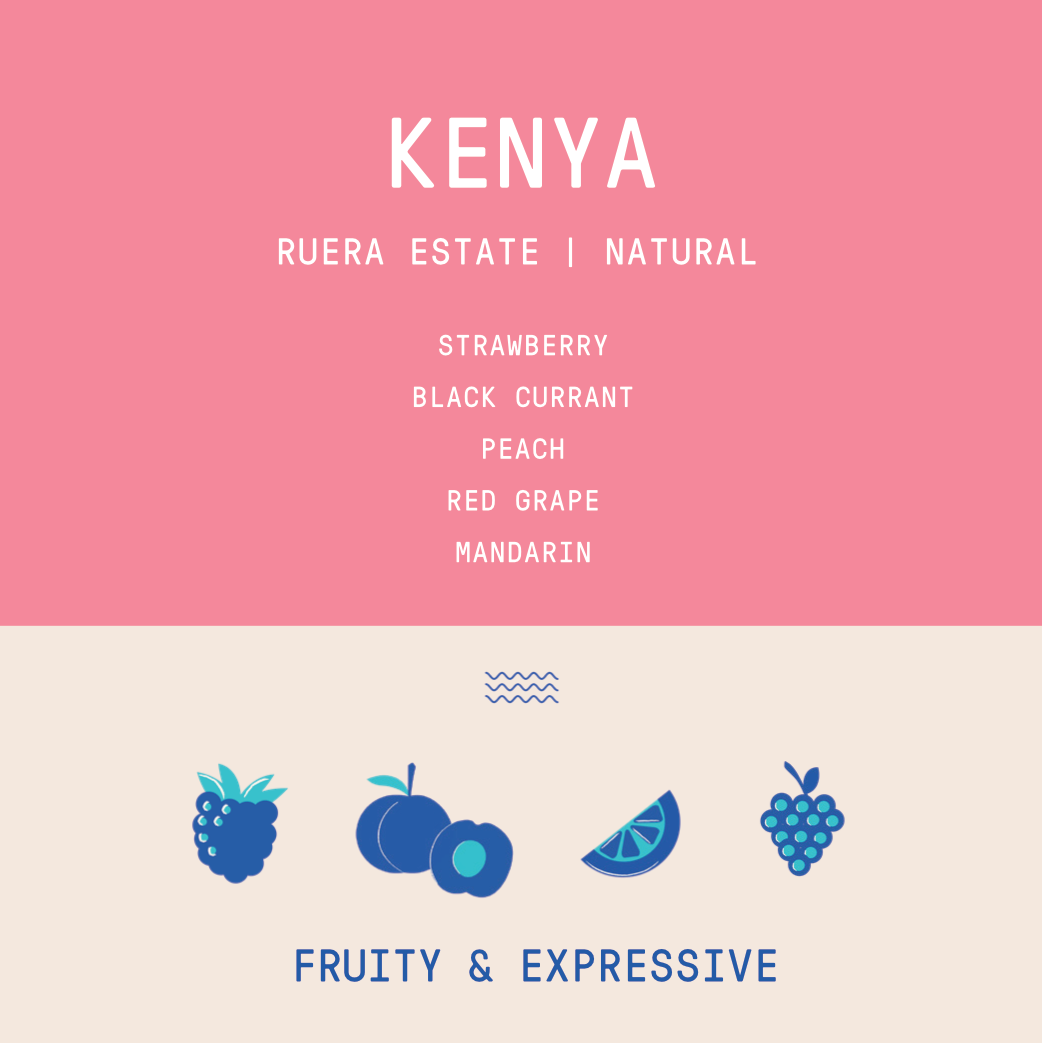 Kenya - Ruera Estate | Natural