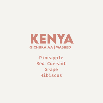 Kenya - Gichuka AA | Washed