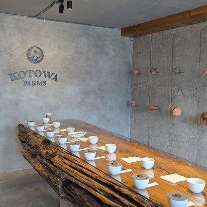 Panama - Kotowa Duncan Estate Ethiopian Heirloom | Natural