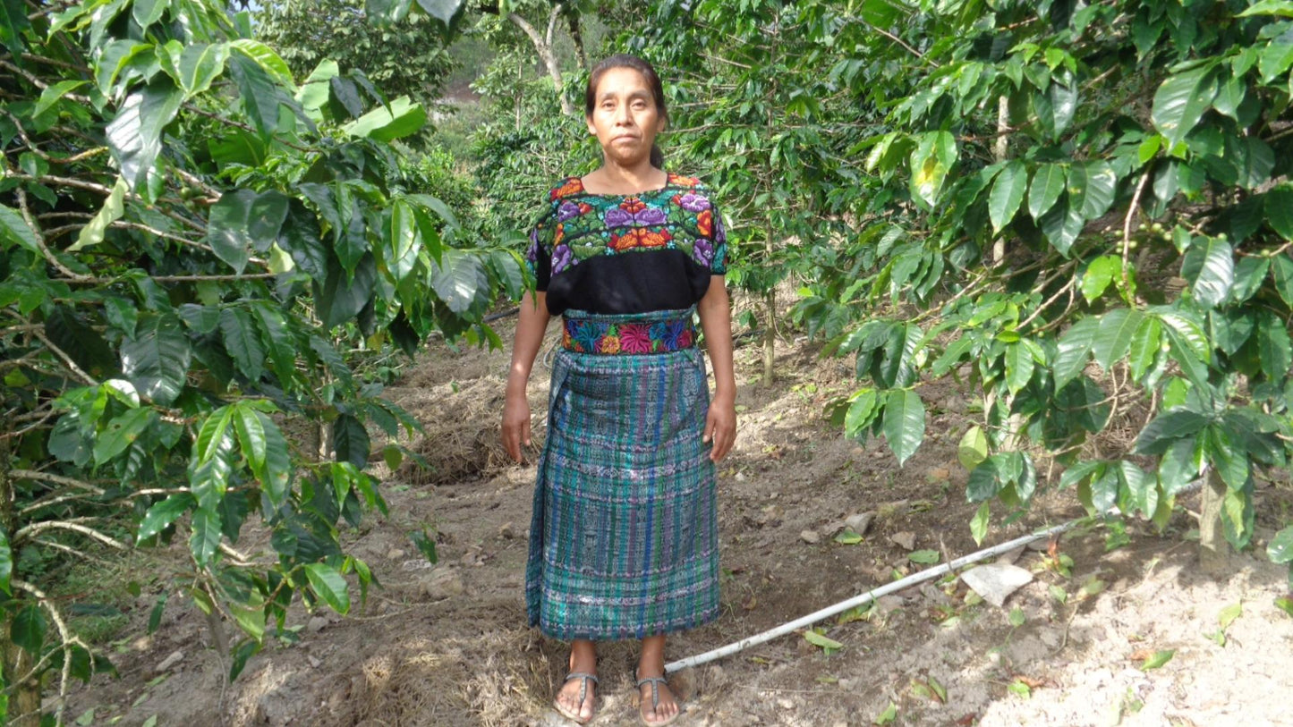 Guatemala - La Florida | Washed - Archived