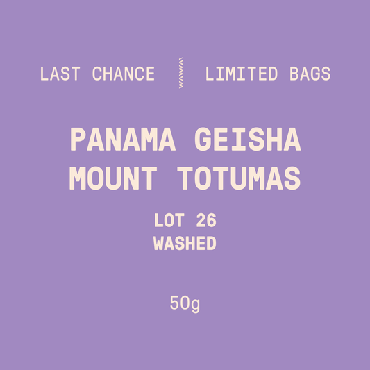 Limited Bags | Panama - Mount Totumas Geisha Lot 26 | Washed - 50g