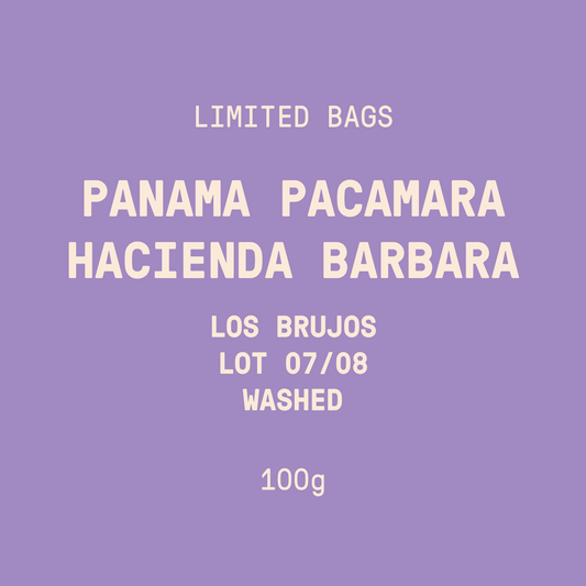 Limited Bags | Panama - Hacienda Barbara Los Brujos Pacamara Lot 07/08 | Washed - 100g
