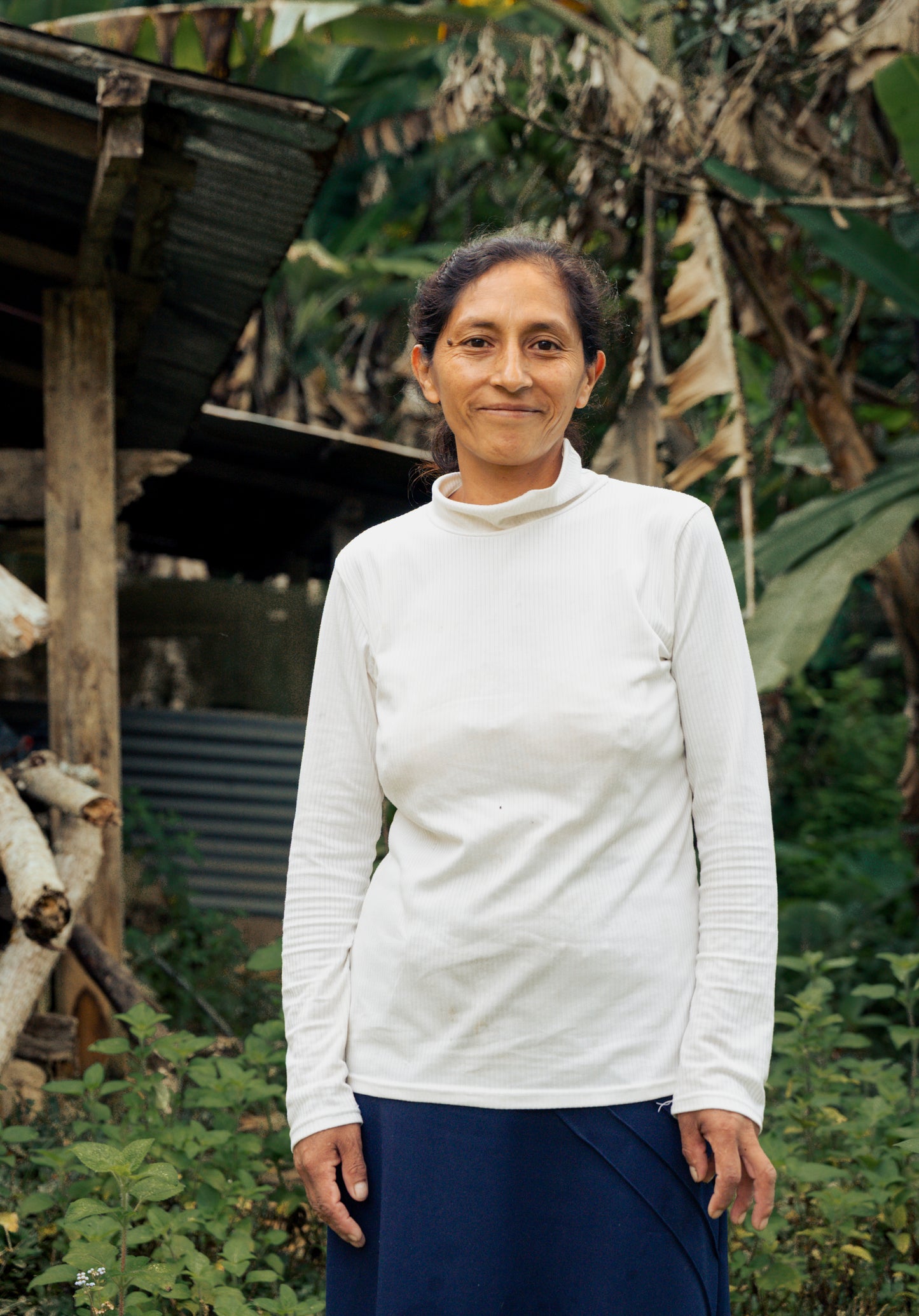 Peru - Maria Estela La Perla Yellow Caturro | Washed