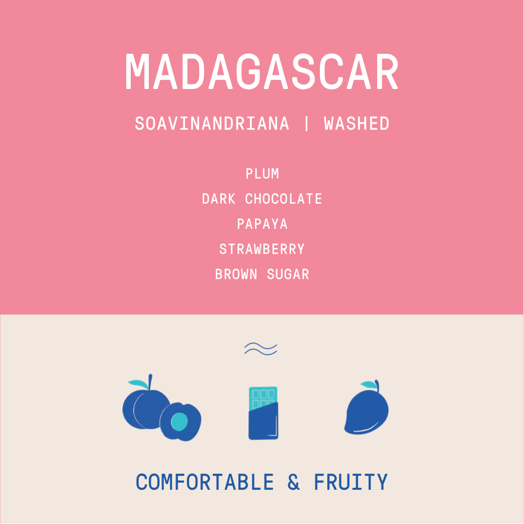 Madagascar - Soavinandriana | Washed