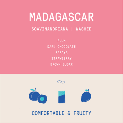 Madagascar - Soavinandriana | Washed