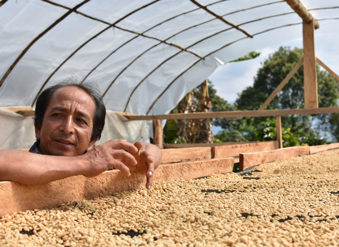 Peru - Garmas Maximiliano Garcia | Geisha Washed