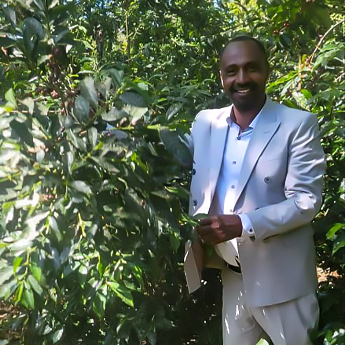 Ethiopia - Mustefa Abakeno Gera | Washed