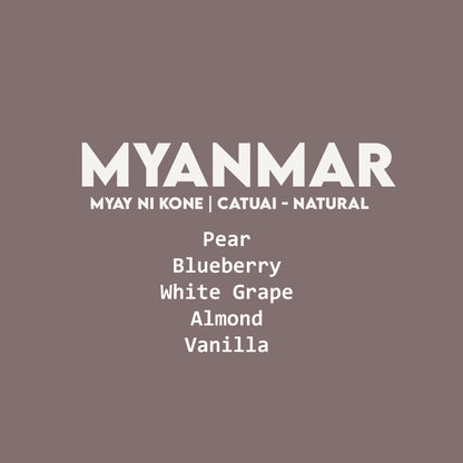 Myanmar - Myay Ni Kone | Catuai - Natural