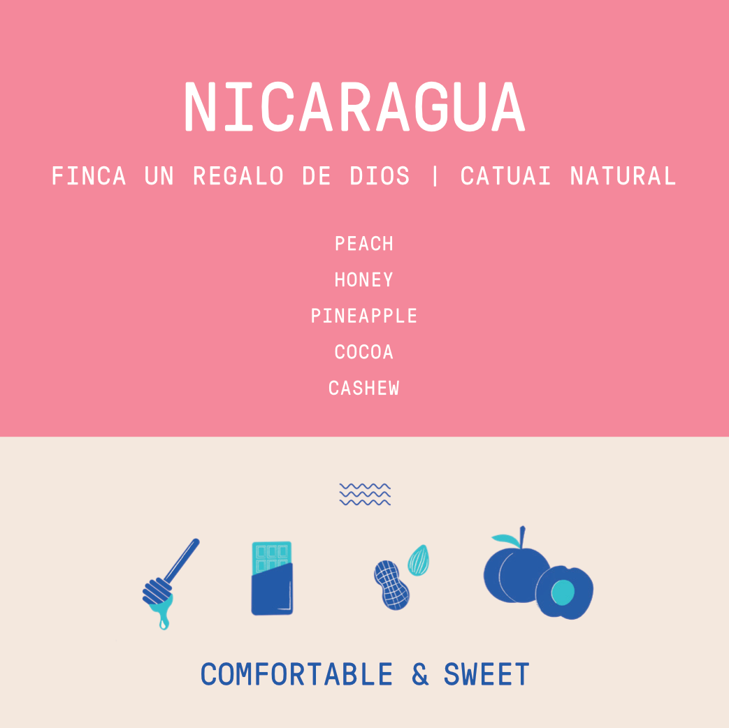 Nicaragua - Finca Un Regalo De Dios Yellow Catuai | Natural