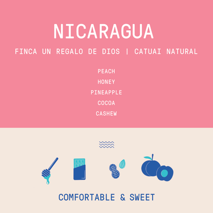 Nicaragua - Finca Un Regalo De Dios Yellow Catuai | Natural