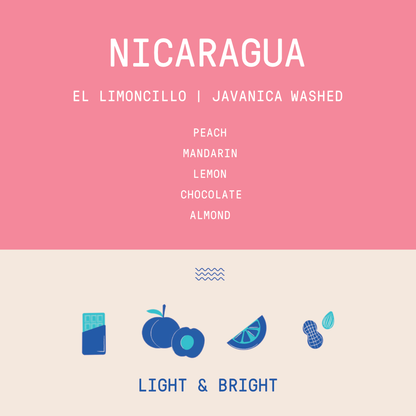 Nicaragua -  El Limoncillo |  Javanica Washed - Archived