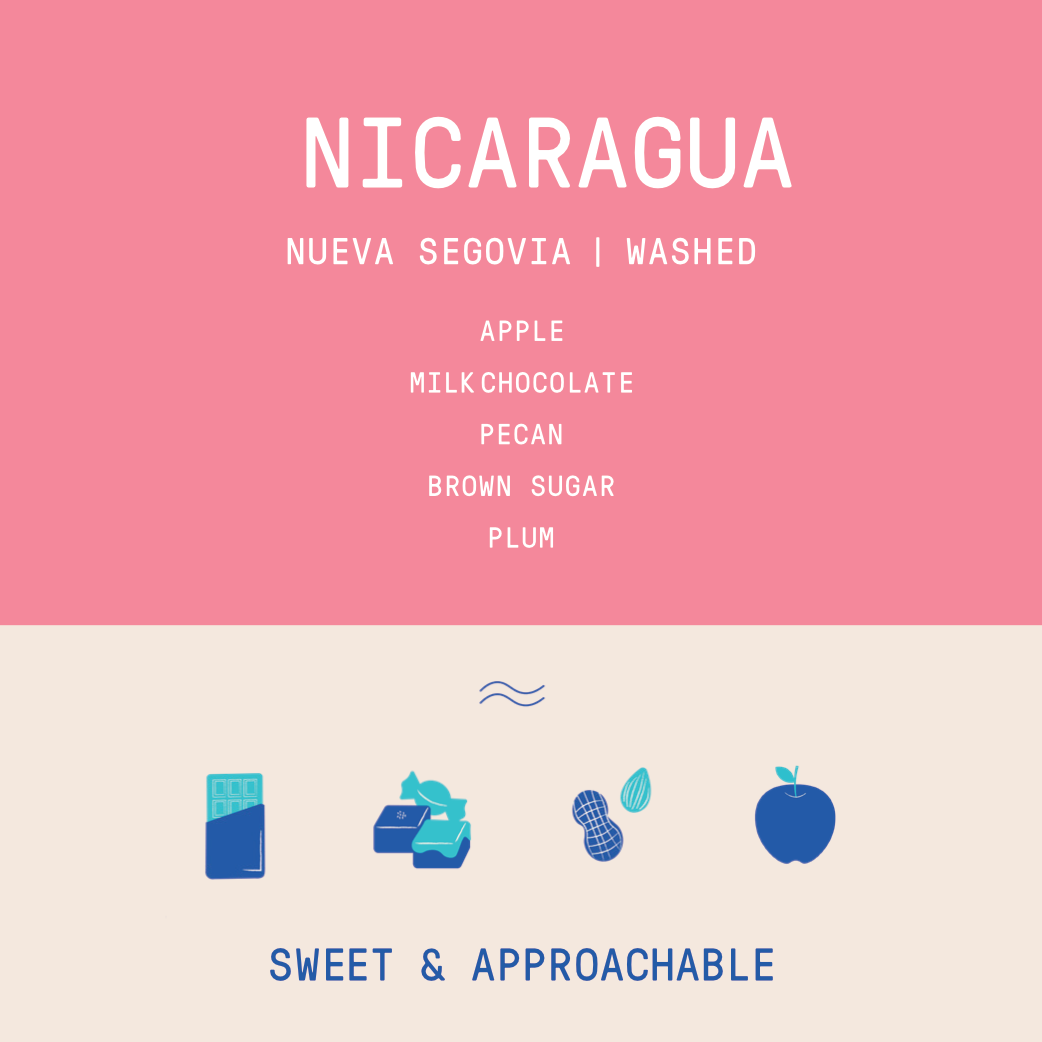 Nicaragua -  Nueva Segovia |  Washed