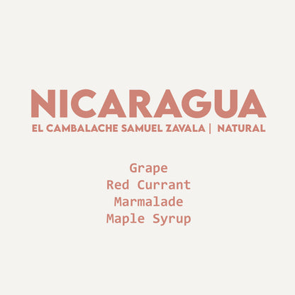Nicaragua - El Cambalache Samuel Zavala | Red Caturra Natural