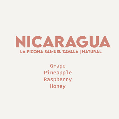 Nicaragua - La Picona Samuel Zavala | Java Parainema Natural