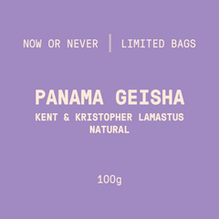 Limited Bags | Panama - Kent & Kristopher Lamastus | Natural - 100g