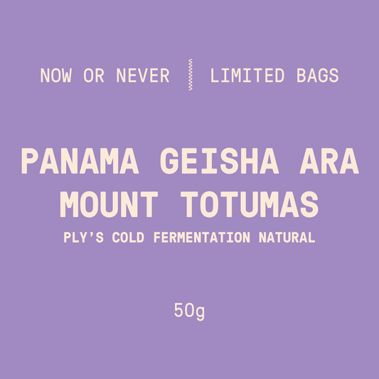 Limited Bags | Panama - Mount Totumas Geisha ARA | Ply's Cold Fermentation Natural - 50g