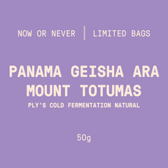 Limited Bags | Panama - Mount Totumas Geisha ARA | Ply's Cold Fermentation Natural - 50g