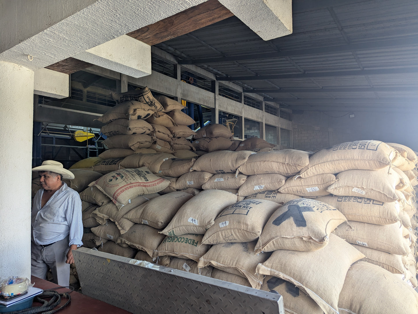 Guatemala - Huehuetenango Primavera Family Lot | Washed