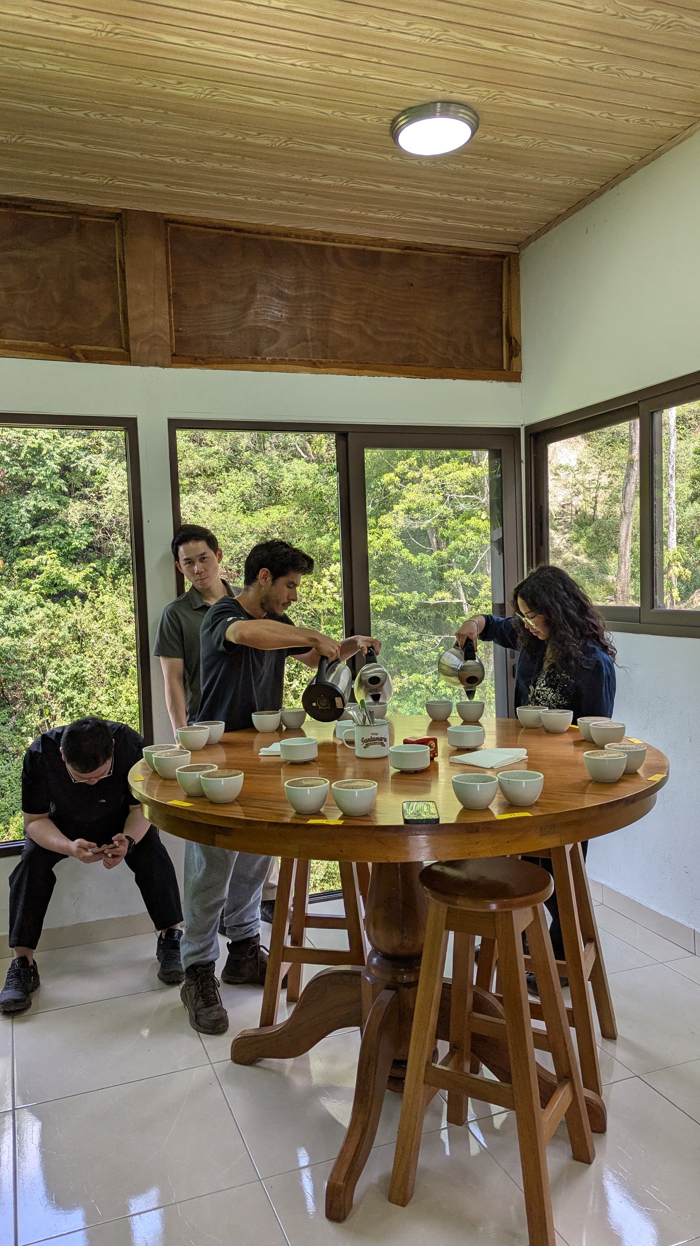 Panama - Santamaria Estate Geisha | Natural - 100g