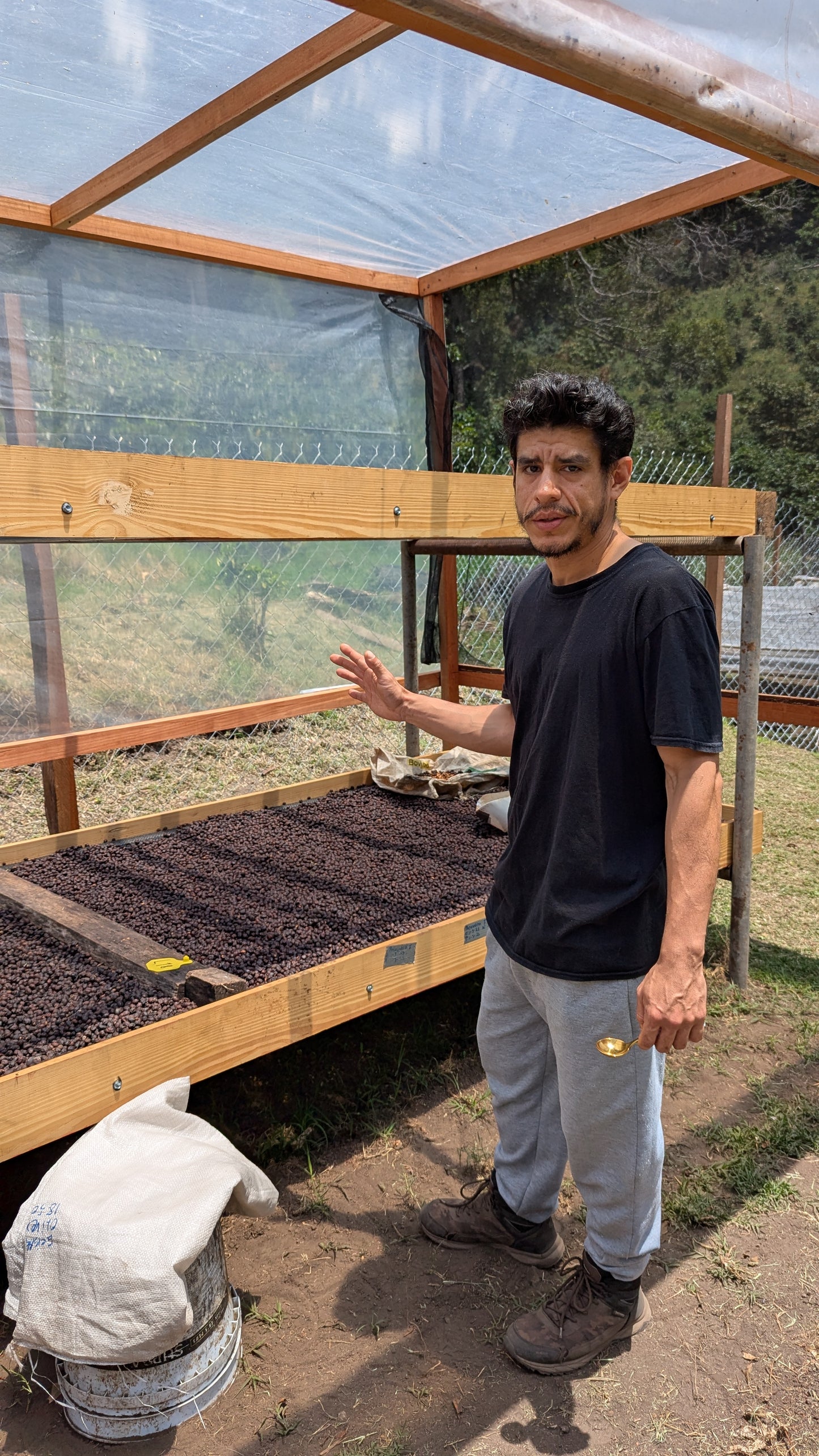 Panama - Santamaria Estate Geisha | Natural - 100g