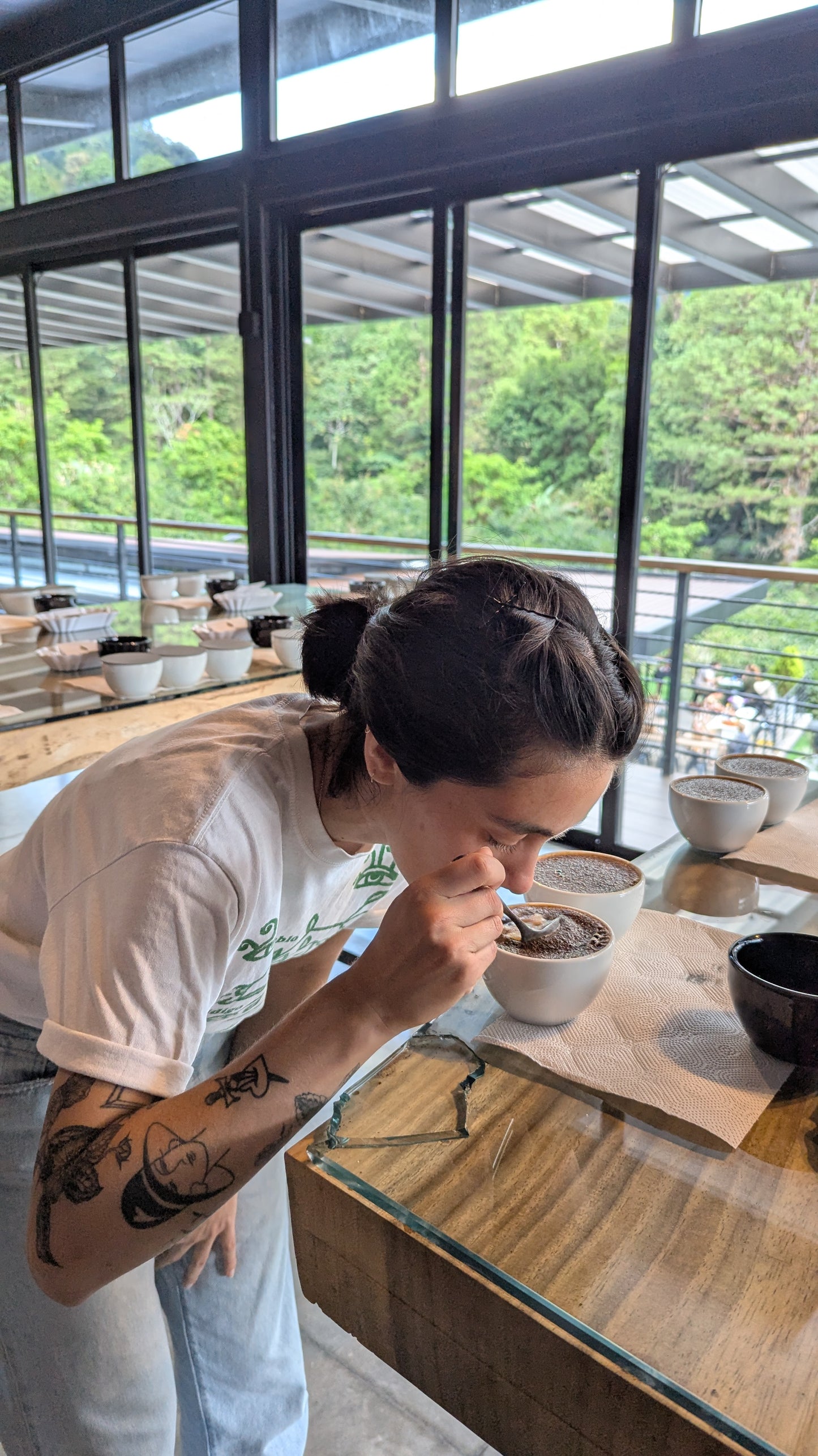 Panama - Altieri Rola Catuai | Natural