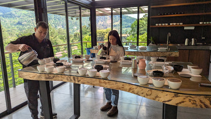 Panama - Altieri Rola Catuai | Natural