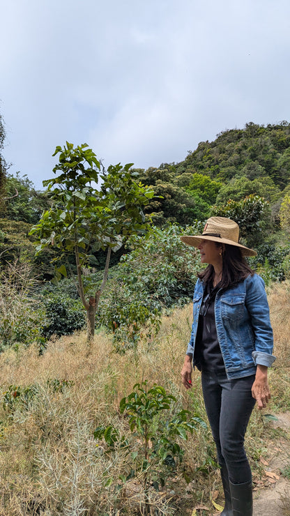 Panama - Bambito Estate Red Bourbon | Natural