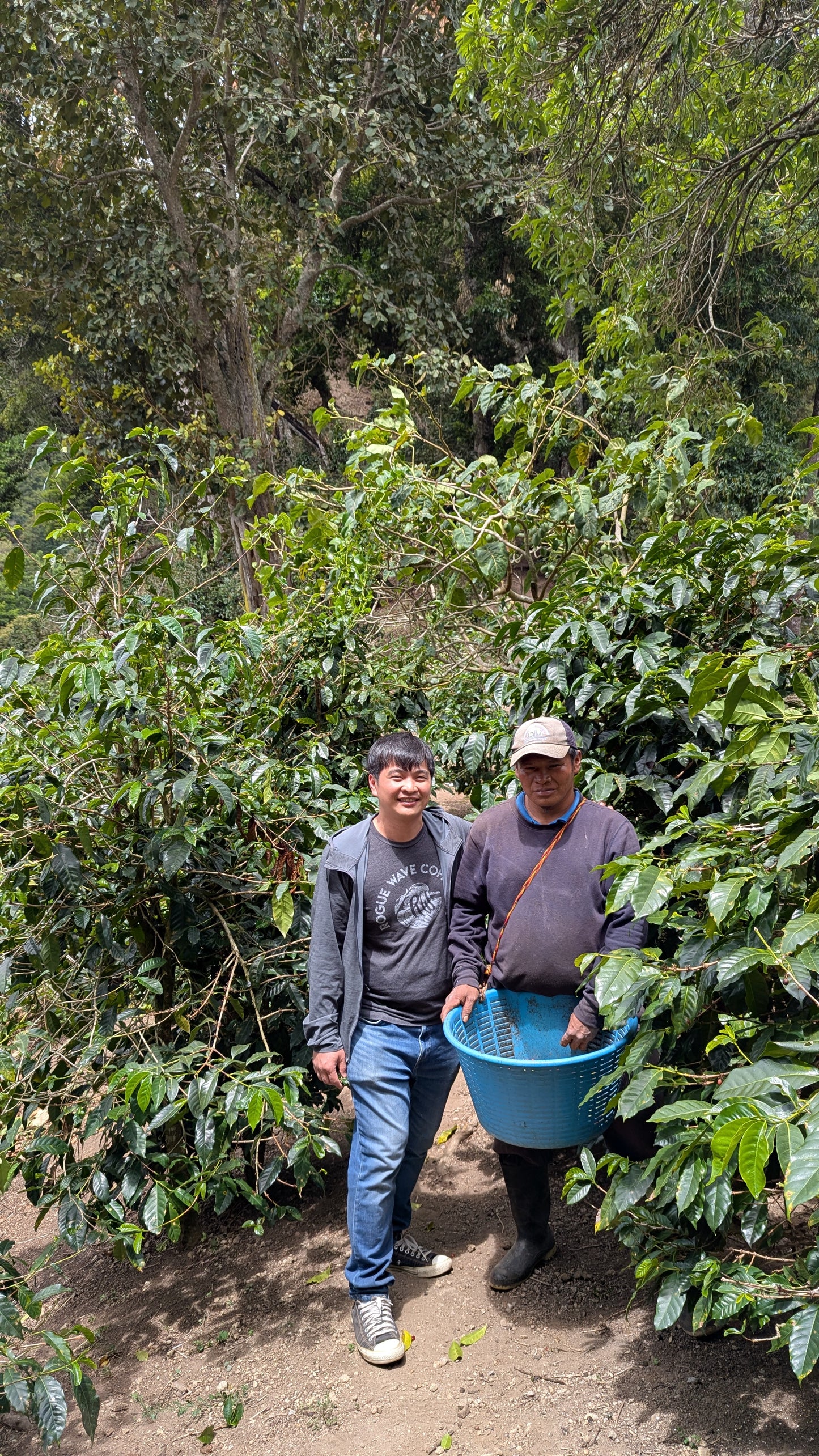 Panama - Bambito Estate Geisha | Washed - 100g