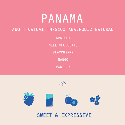 Panama - Abu Catuai TN-5160 | Re-Hydro Double Phased Anaerobic Natural - 200g