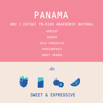 Panama - Abu Catuai TN-5240 | Re-Hydro Double Phased Anaerobic Natural - 200g
