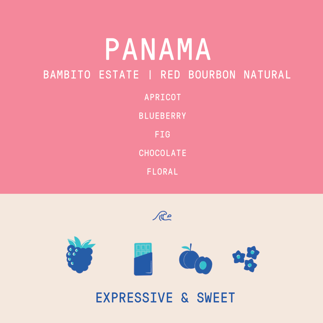 Panama - Bambito Estate Red Bourbon | Natural
