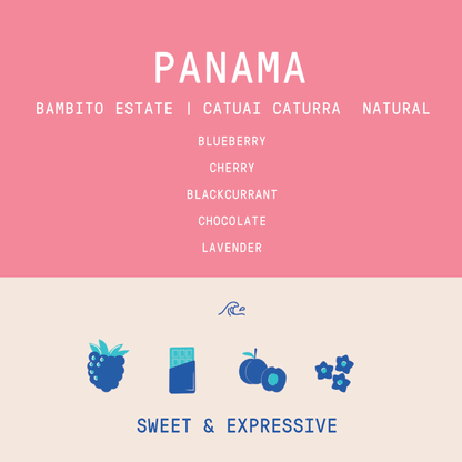 Panama - Bambito Estate Caturra Catuai | Anaerobic Natural