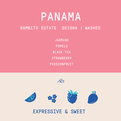 Panama - Bambito Estate Geisha | Washed - 100g