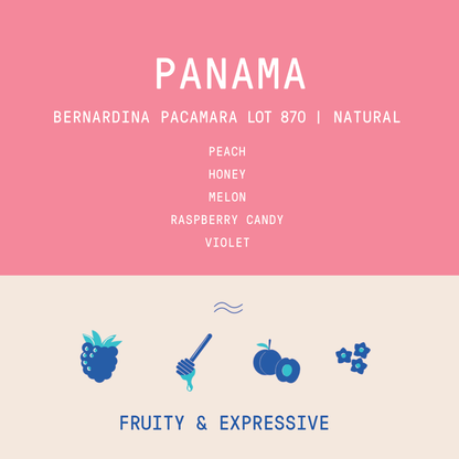 Panama - Finca Bernardina Pacamara Lot 870 | Extended Fermentation Natural