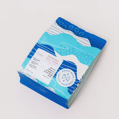 Panama - Carmen Estate Caturra Lot 4 | Natural