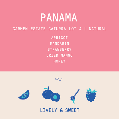 Panama - Carmen Estate Caturra Lot 4 | Natural