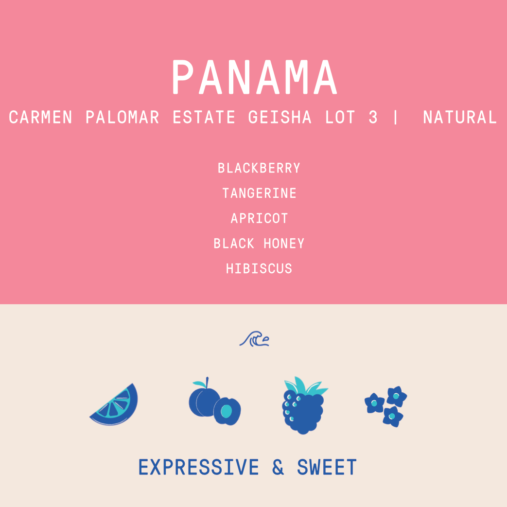 Panama - Carmen Estate Palomar Geisha Lot 3 | Natural - 100g