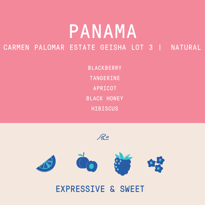 Panama - Carmen Estate Palomar Geisha Lot 3 | Natural - 100g