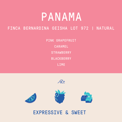 Panama - Finca Bernardina Geisha Lot 972 | Natural