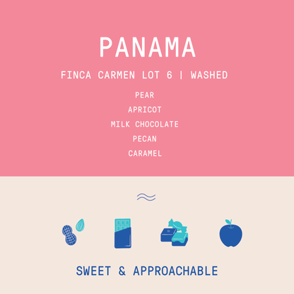 Panama - Carmen Estate Caturra Lot 6 | Washed