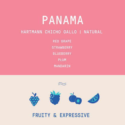 Panama - Finca Hartmann Chicho Gallo | Natural - 100g
