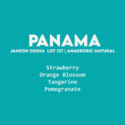 Panama - Janson Gesha Los Alpes Lot 137 | Anaerobic Natural - 100g