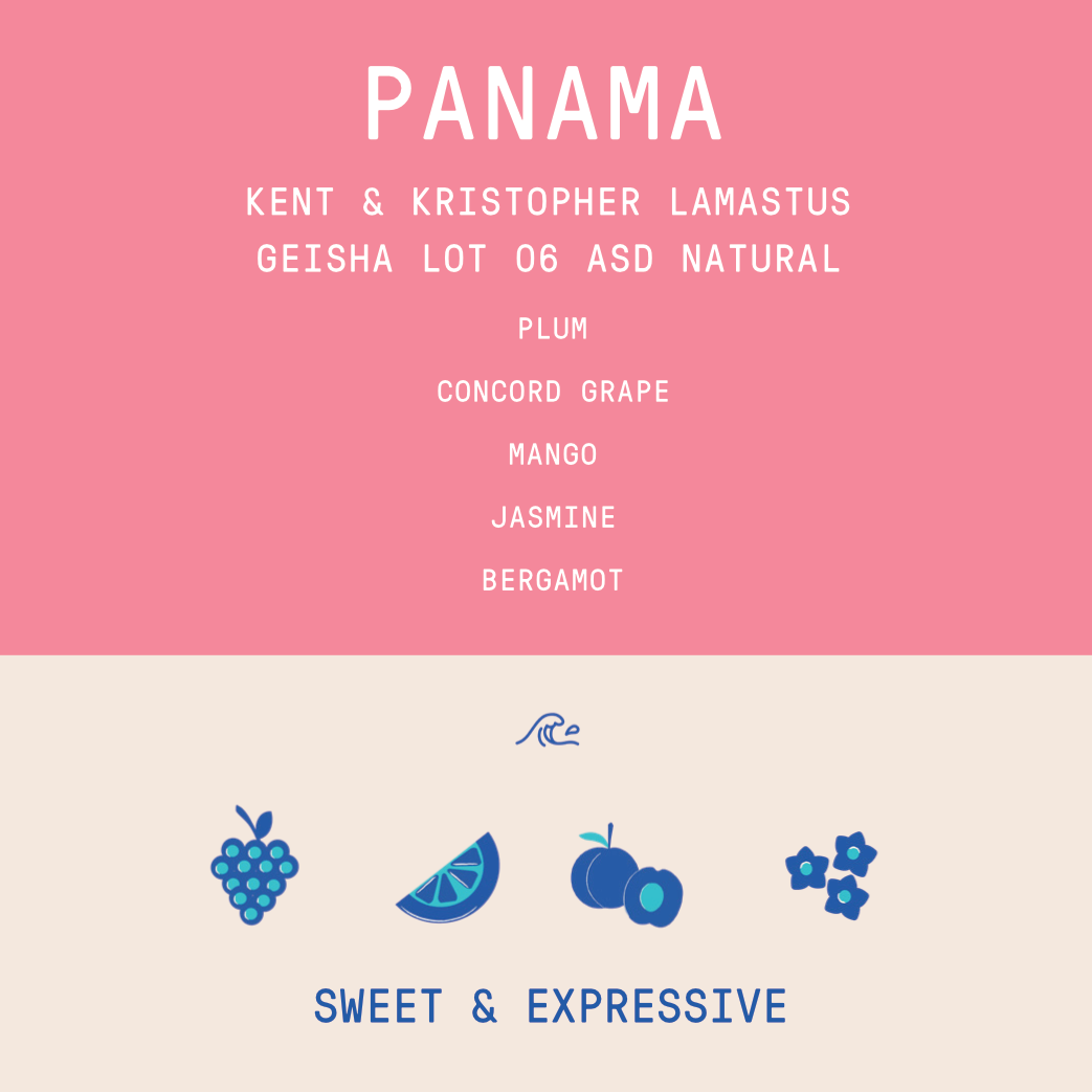 Panama - Kent and Kristopher Lamastus - Geisha Lot 06 | ASD Natural - 100g - Archived