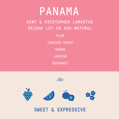 Panama - Kent and Kristopher Lamastus - Geisha Lot 06 | ASD Natural - 100g - Archived