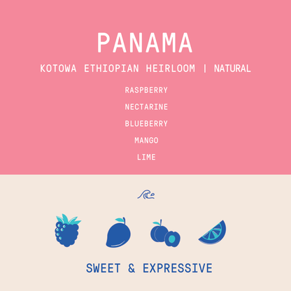 Panama - Kotowa Duncan Estate Ethiopian Heirloom | Natural