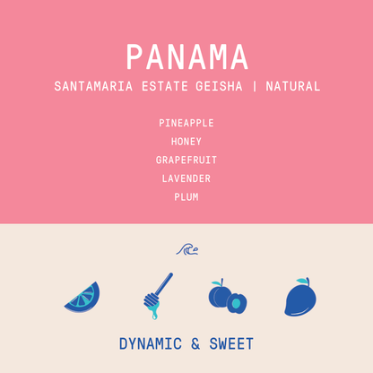 Panama - Santamaria Estate Geisha | Natural - 100g