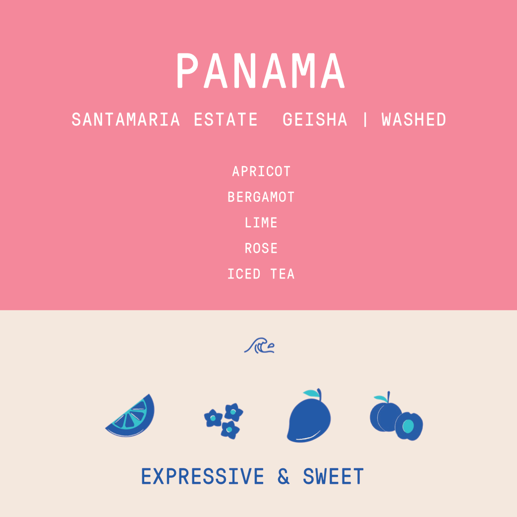 Panama - Santamaria Geisha | Washed - 100g
