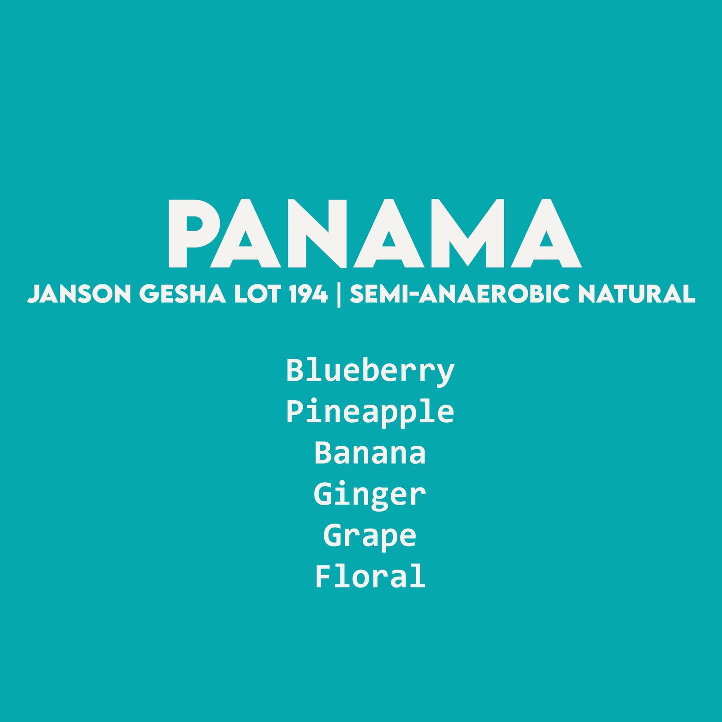 Panama - Janson Gesha Lot 194 | Semi-Anaerobic Natural - 100g
